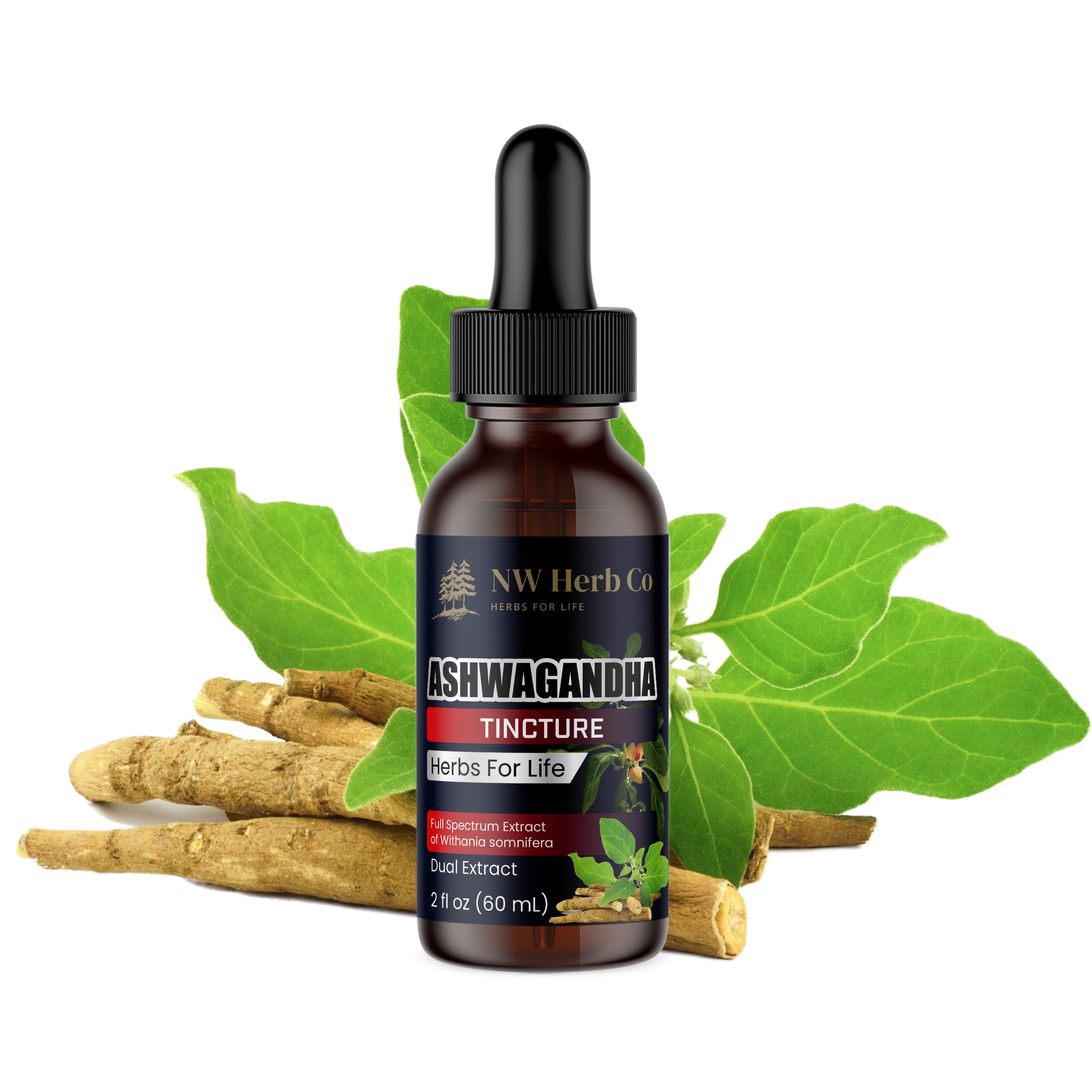 The Power of Ashwagandha: Benefits, Uses, and Science-Backed Evidence