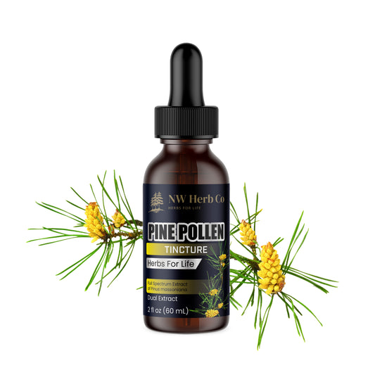 Pine Pollen: A Superfood for Vitality and Wellness