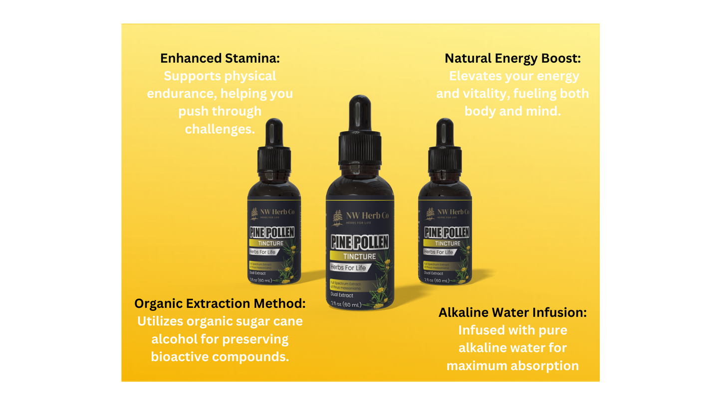 NW Herb Co. Pine Pollen Tincture: Potent Energy & Vitality Elixir